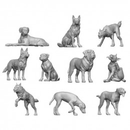 Cani grandi