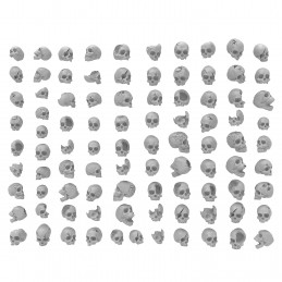 Resin Skulls | Warhammer skulls compatible