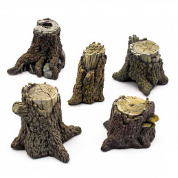 Ceppi d'Albero | Tronchi di alberi grandi