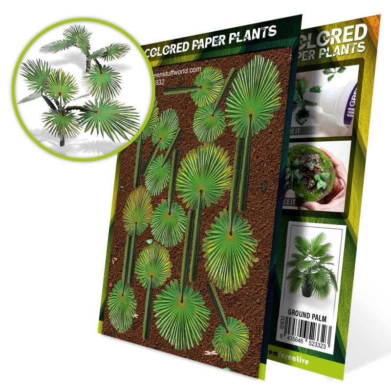 Piante di Carte - Palma Cycas Revoluta Piante di Carte - Palma Cycas Revoluta