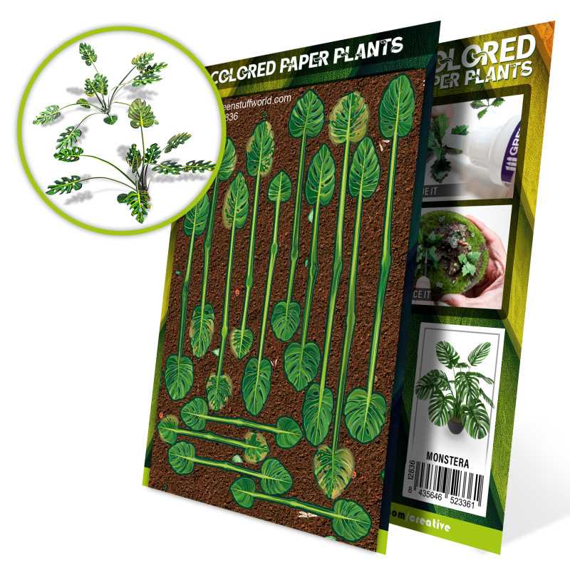 Piante di Carta Colorata - Monstera Piante di Carta Colorata - Monstera