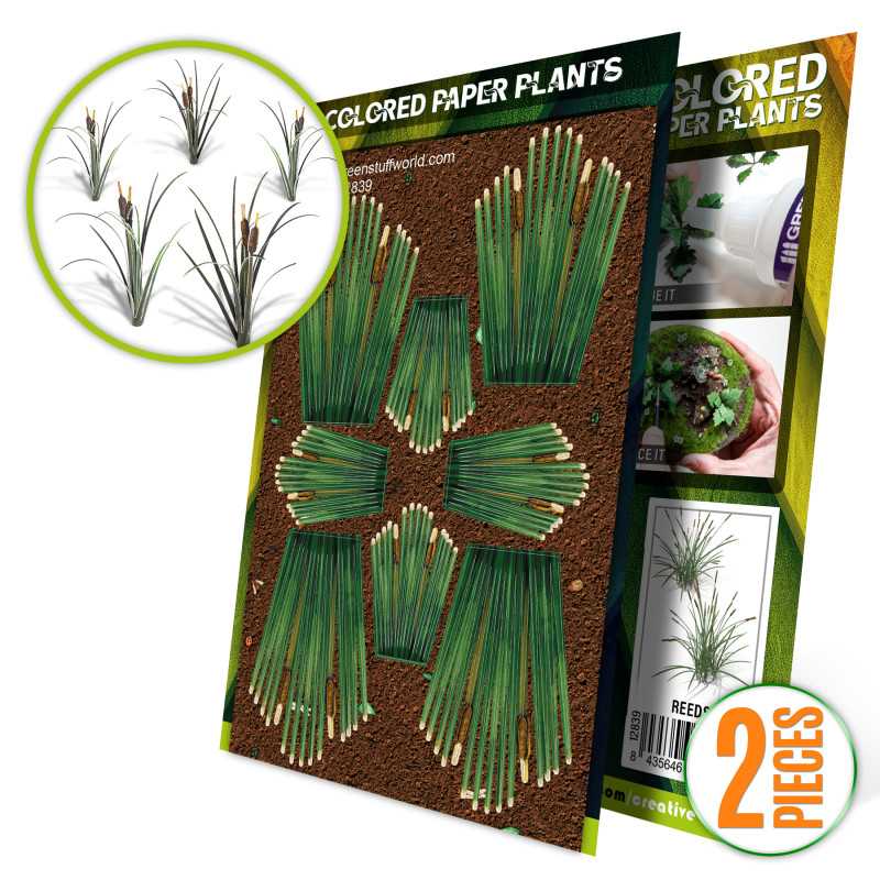 Plantes à Papier Coloré - Roseaux Plantes à Papier Coloré - Roseaux