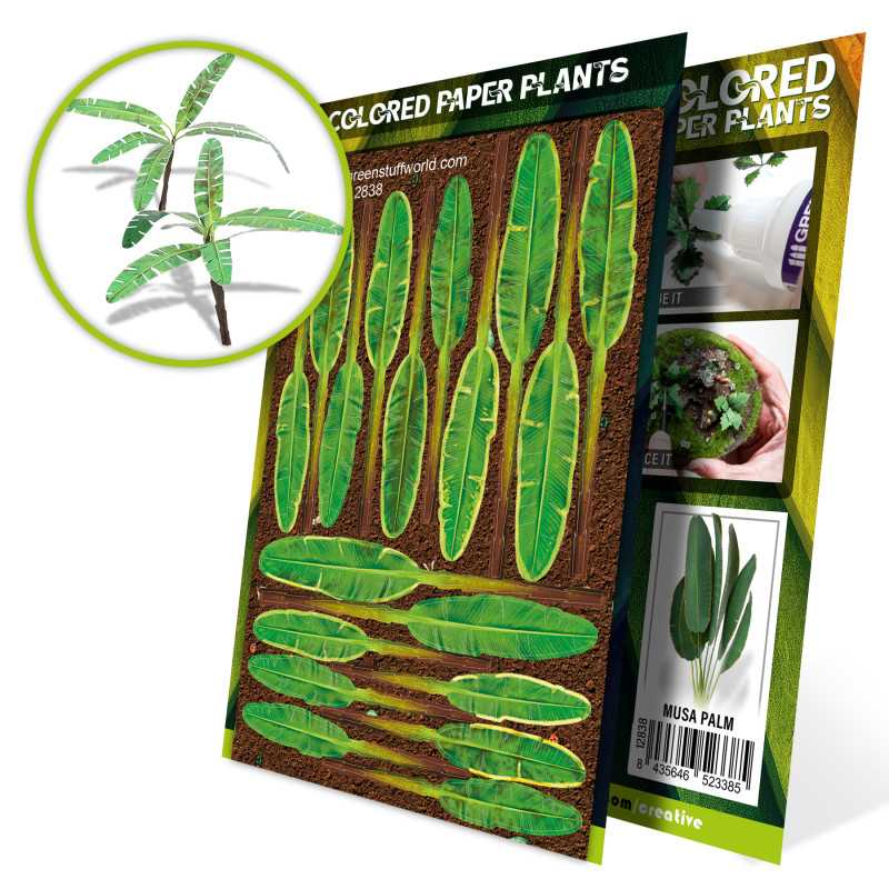 Paper Plants - Musa Trees Paper Plants - Musa Trees