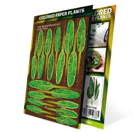 Paper Plants - Musa Trees