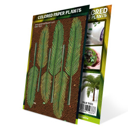 Plantes à Papier Coloré - Palmier