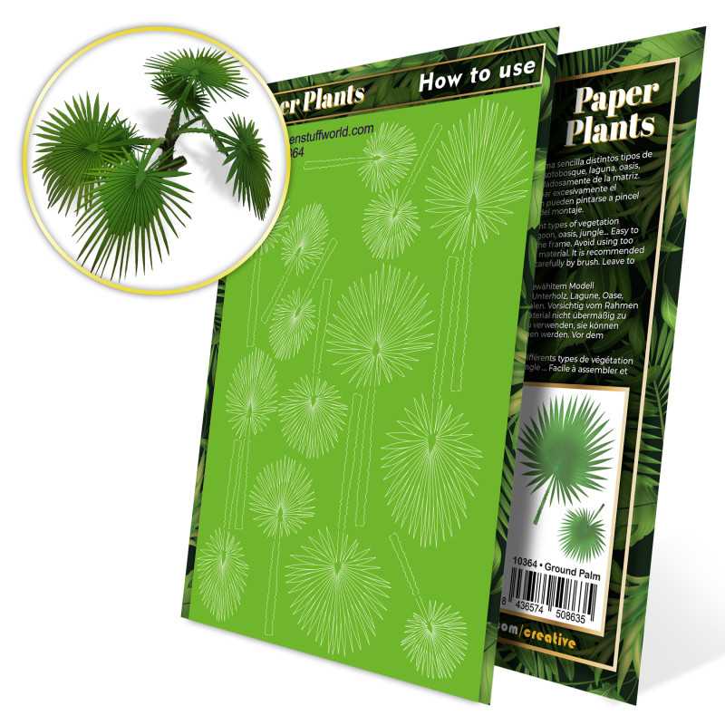 Papierpflanzen - Bismarckpalme | Papierpflanzen Papierpflanzen - Bismarckpalme | Papierpflanzen