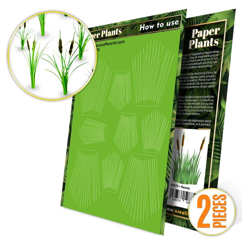 Plantes à Papier - Roseaux | Plantes à papier Plantes à Papier - Roseaux | Plantes à papier