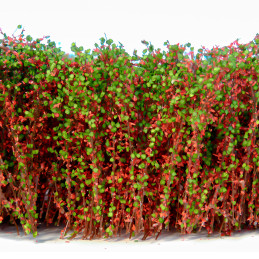 Tall Shrubbery - Red Green | Scenery and Resin