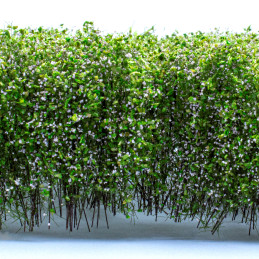 Grands Arbustes - Blanc Vert | Décors et Résine