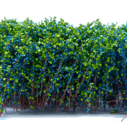 Grands Arbustes - Bleu Vert | Décors et Résine