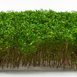 Tall Shrubbery - Light Green | Scenery and Resin