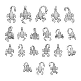 3D - Druckset - Skorpione | Tiere