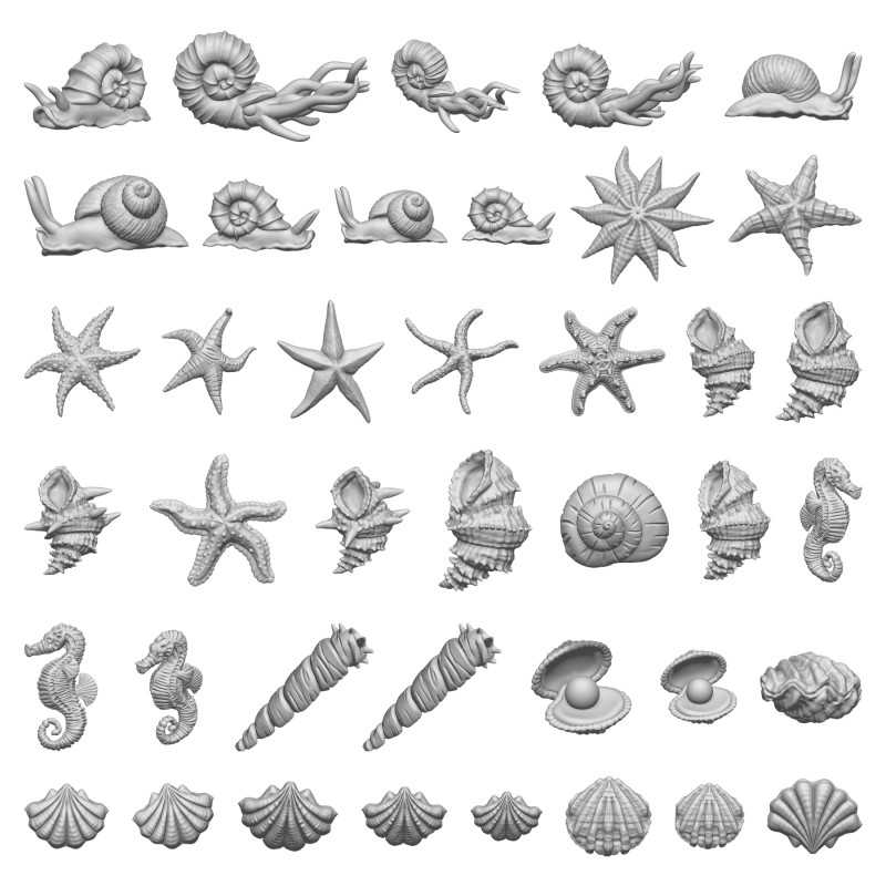 criaturas acuáticas, conchas y almejas criaturas acuáticas, conchas y almejas