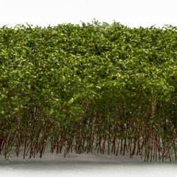 Tall Shrubbery - Light Green | Scenery and Resin