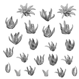 Set imprimé en 3D - Aloe Vera 1:48-1:35