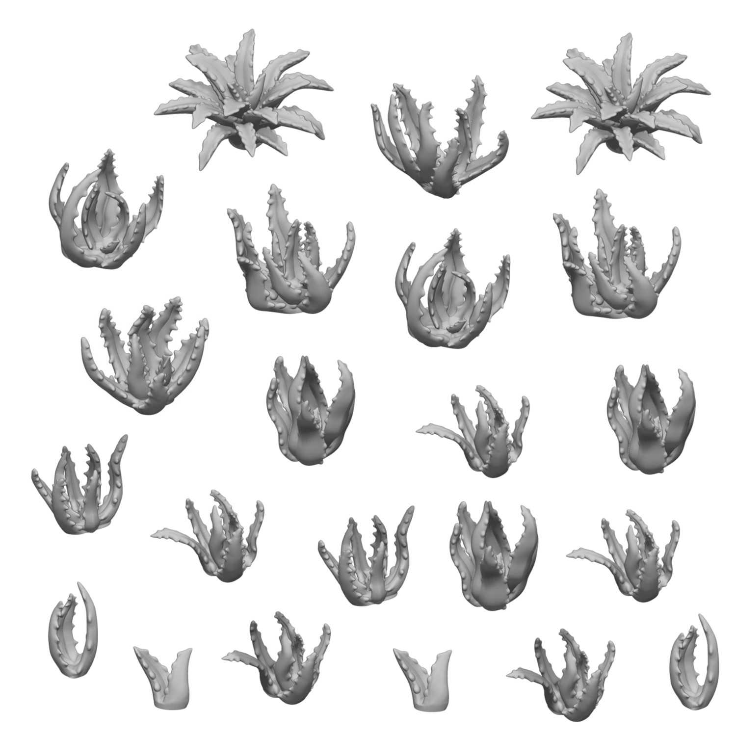 3D printed set - Aloe Vera 1:48-1:35