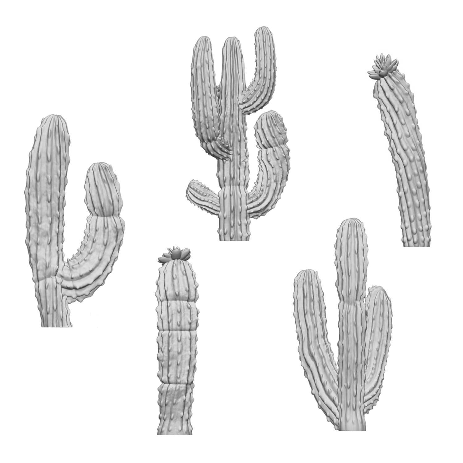 3D printed set - Saguaro Cactus XL 3D printed set - Saguaro Cactus XL