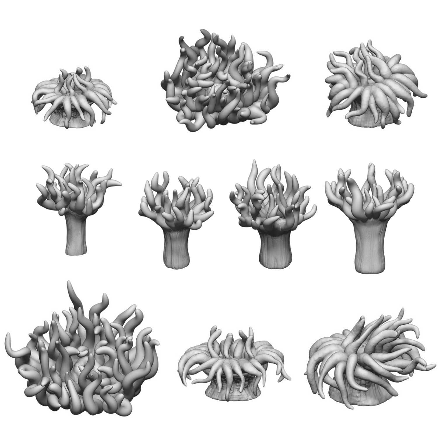 Set imprimé en 3D - Anémones de mer 1:48-1:35