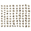 Resin Skulls 1:48-1:35
