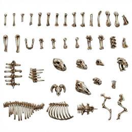 Ossa di animali per miniature e diorami 1:48