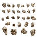 ALIEN Skulls 1:48