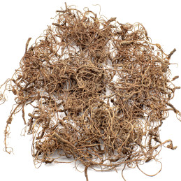 Diorama Tree Roots | Model Roots