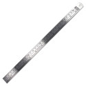 Réglet métallique de Modélisme 30cm