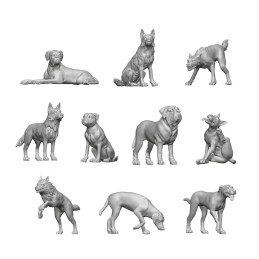 Big Dogs Resin Set 1:48 | Animal resin bits