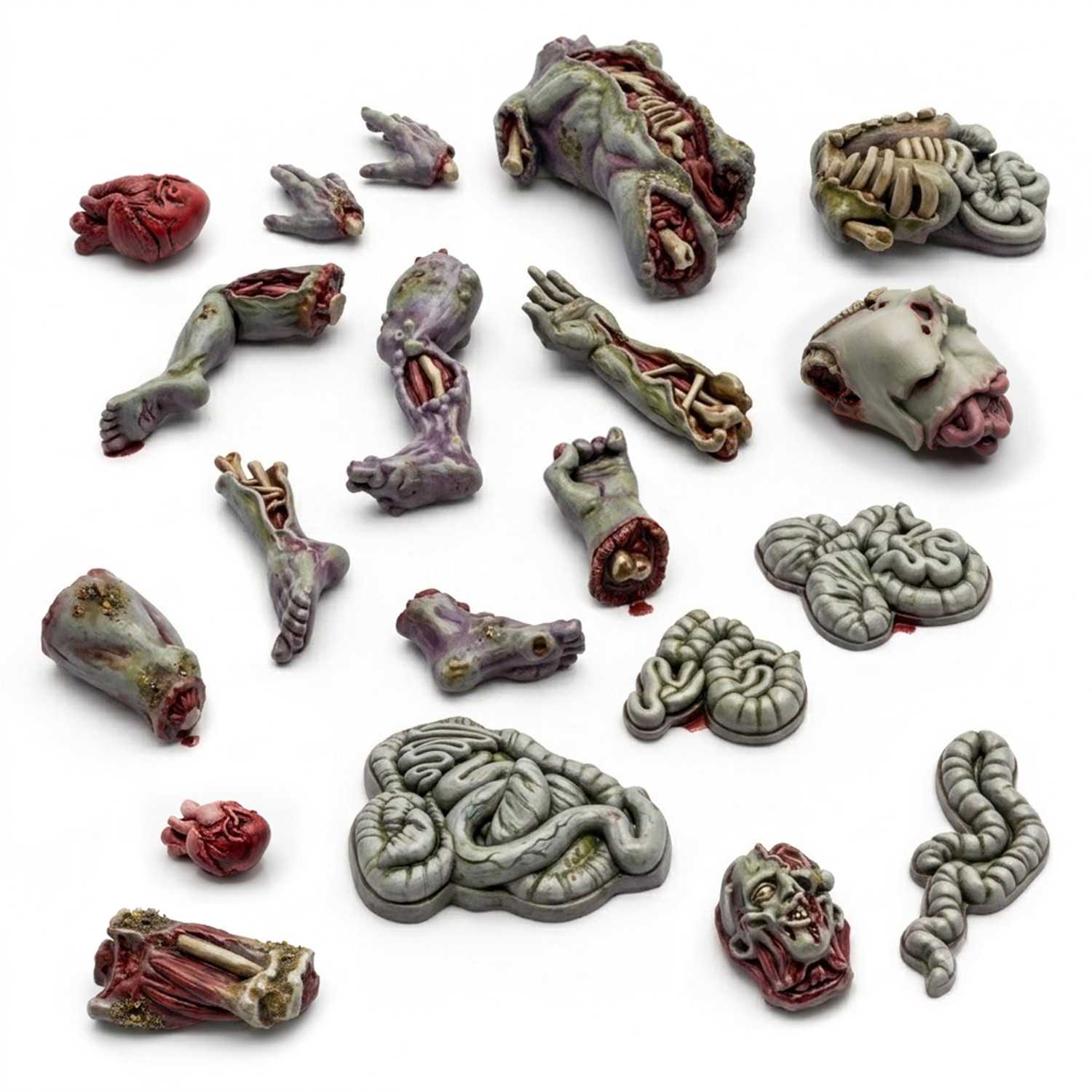 Membres sectionnés 1:48 pour dioramas | Membre amputé de résine Membres sectionnés 1:48 pour dioramas | Membre amputé de résine