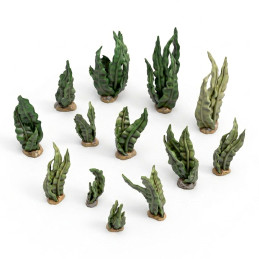 Curly Sea Weeds 1:48-1:35