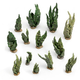 3D-Druckset - Gekräuselte Algen 1:48-1:35