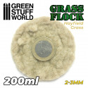 Herbe Statique 2-3mm- HAYFIELD GRASS - 200ml