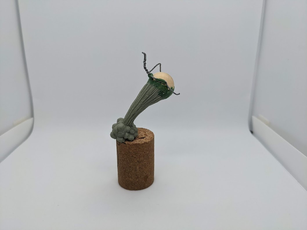 PXL_20210308_005505545