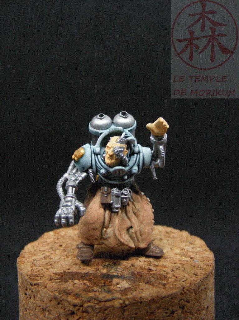 Fabius Bile 11 (1)