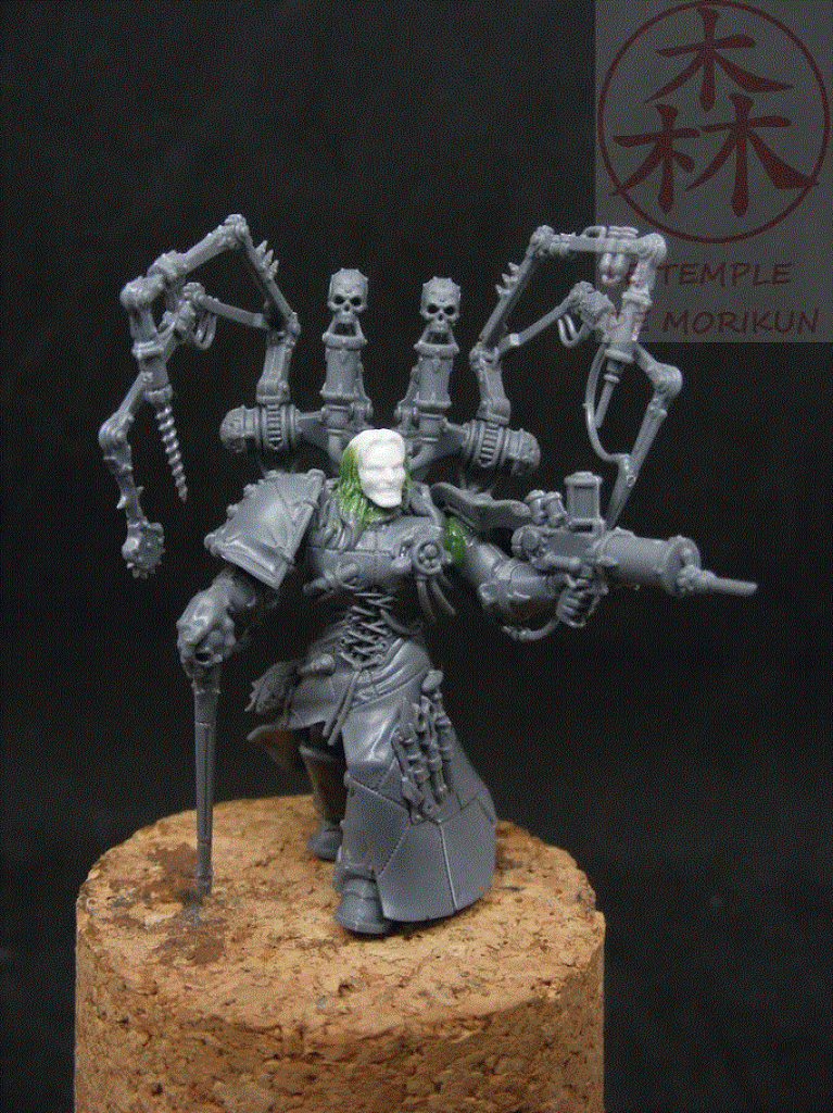 Fabius Bile 2 (2)