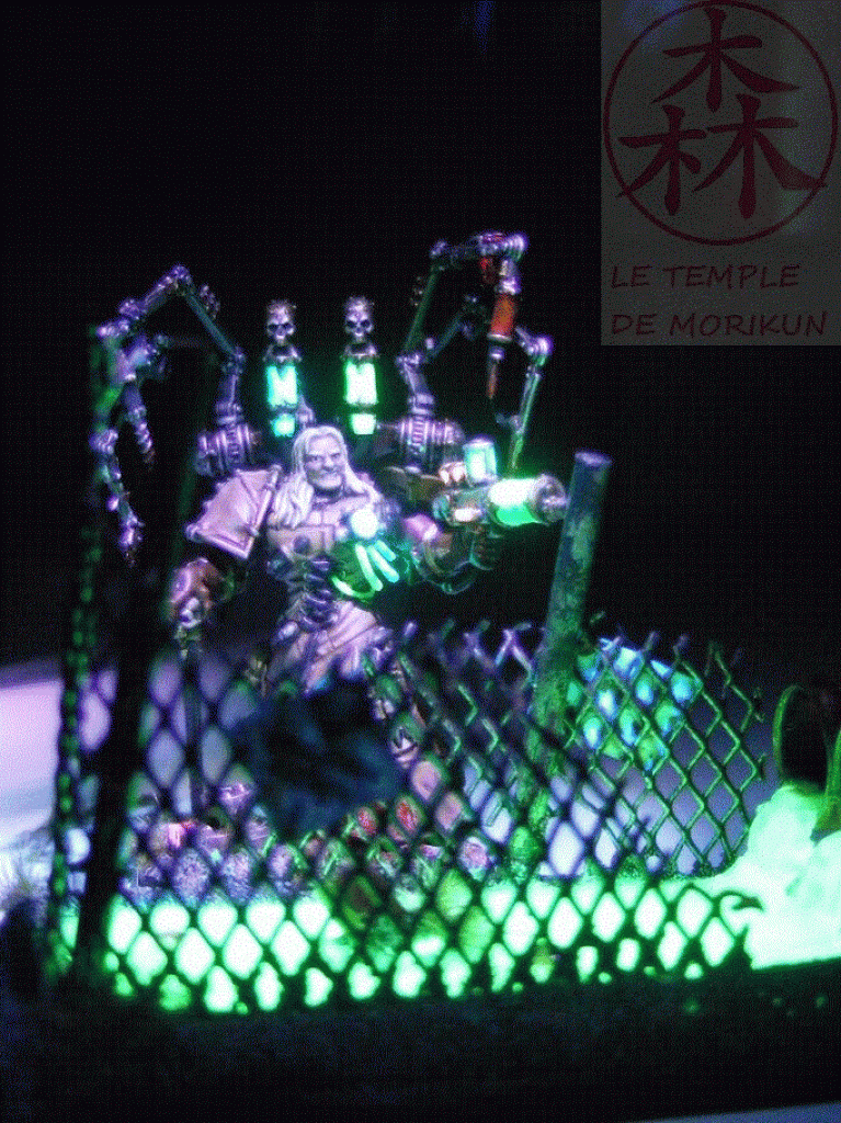 Fabius Bile 8 (2)