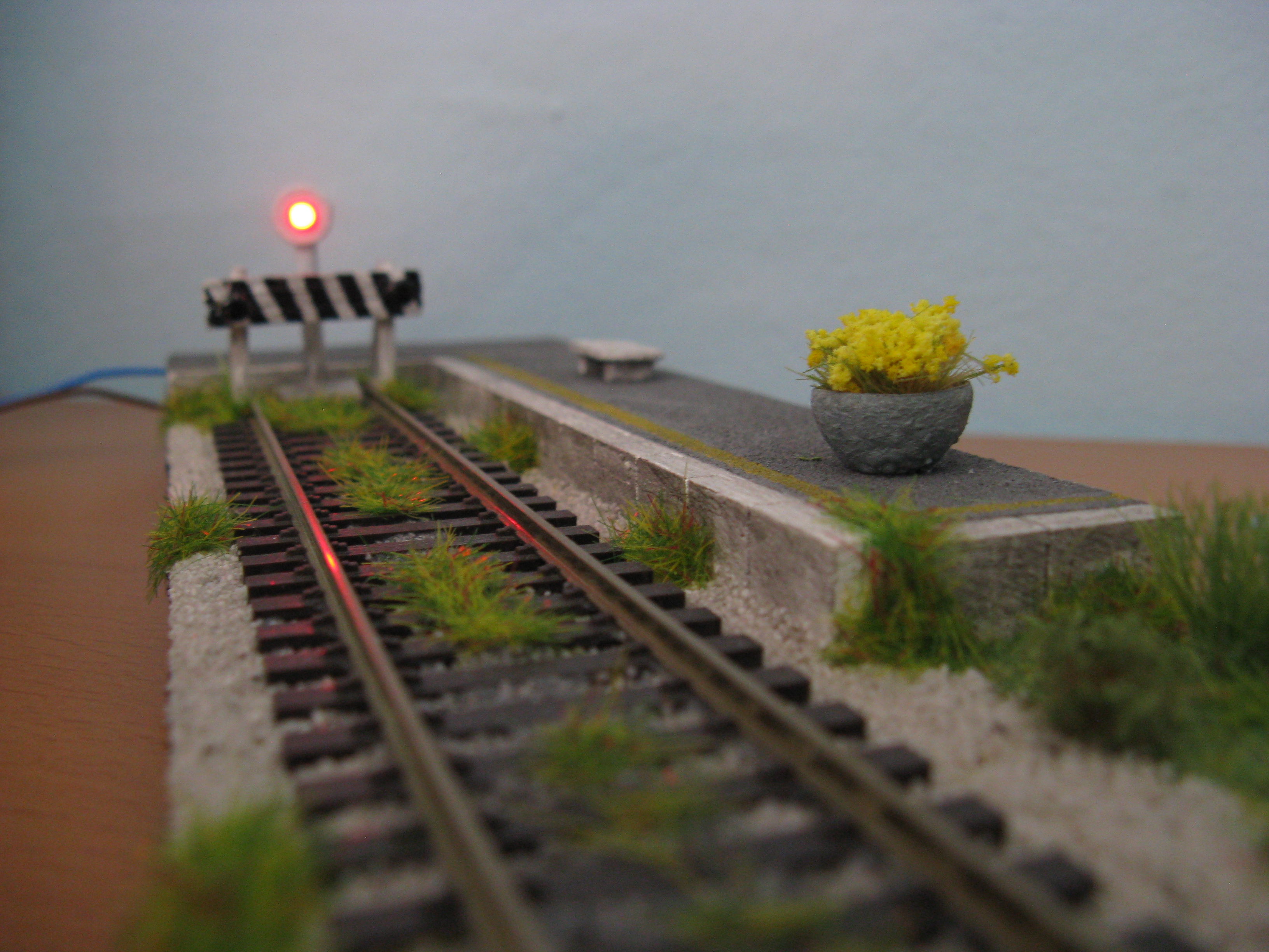 Diorama_-_Binario_tronco_-_Giugno_2018_(30)