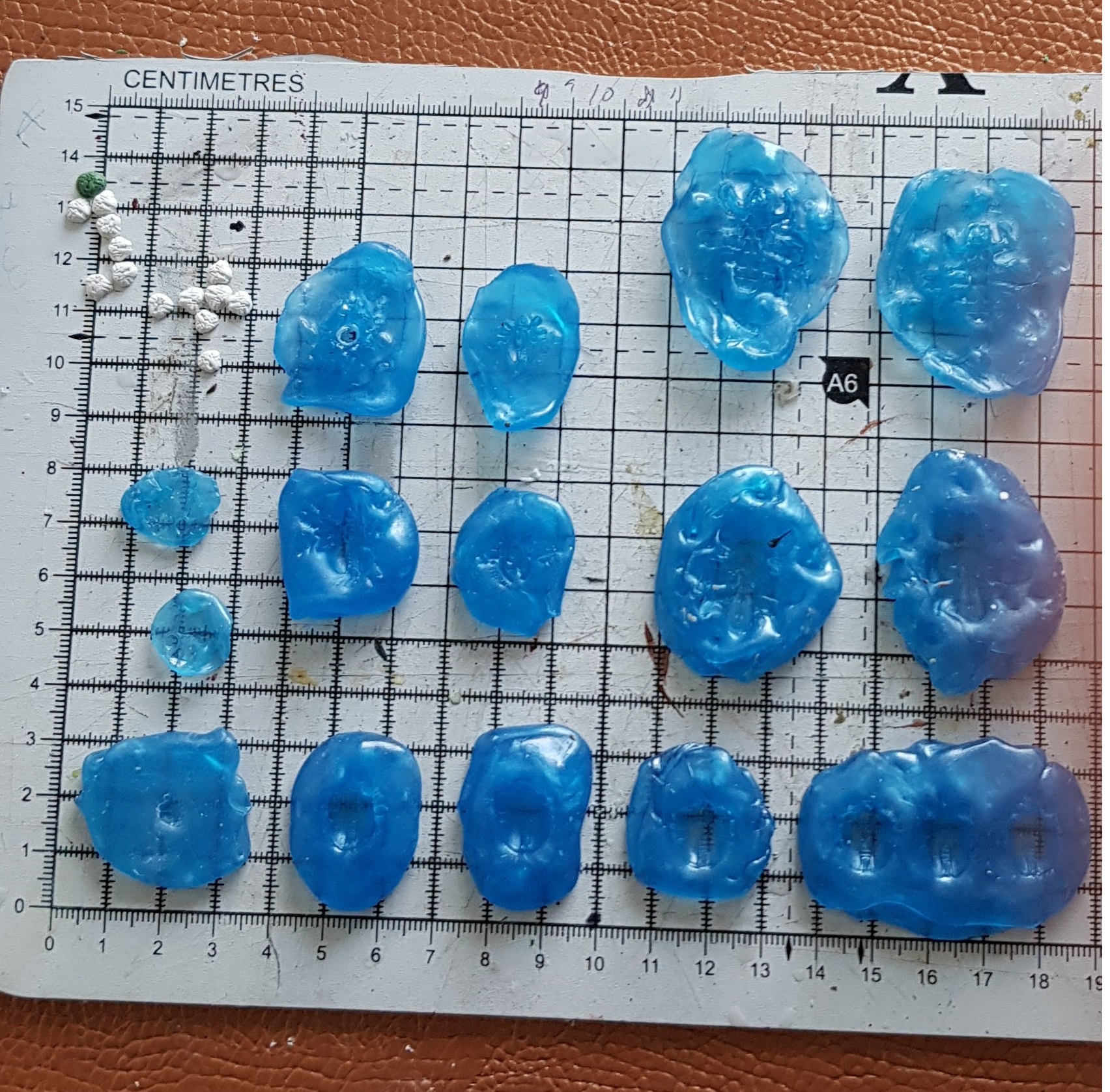 molds (1)