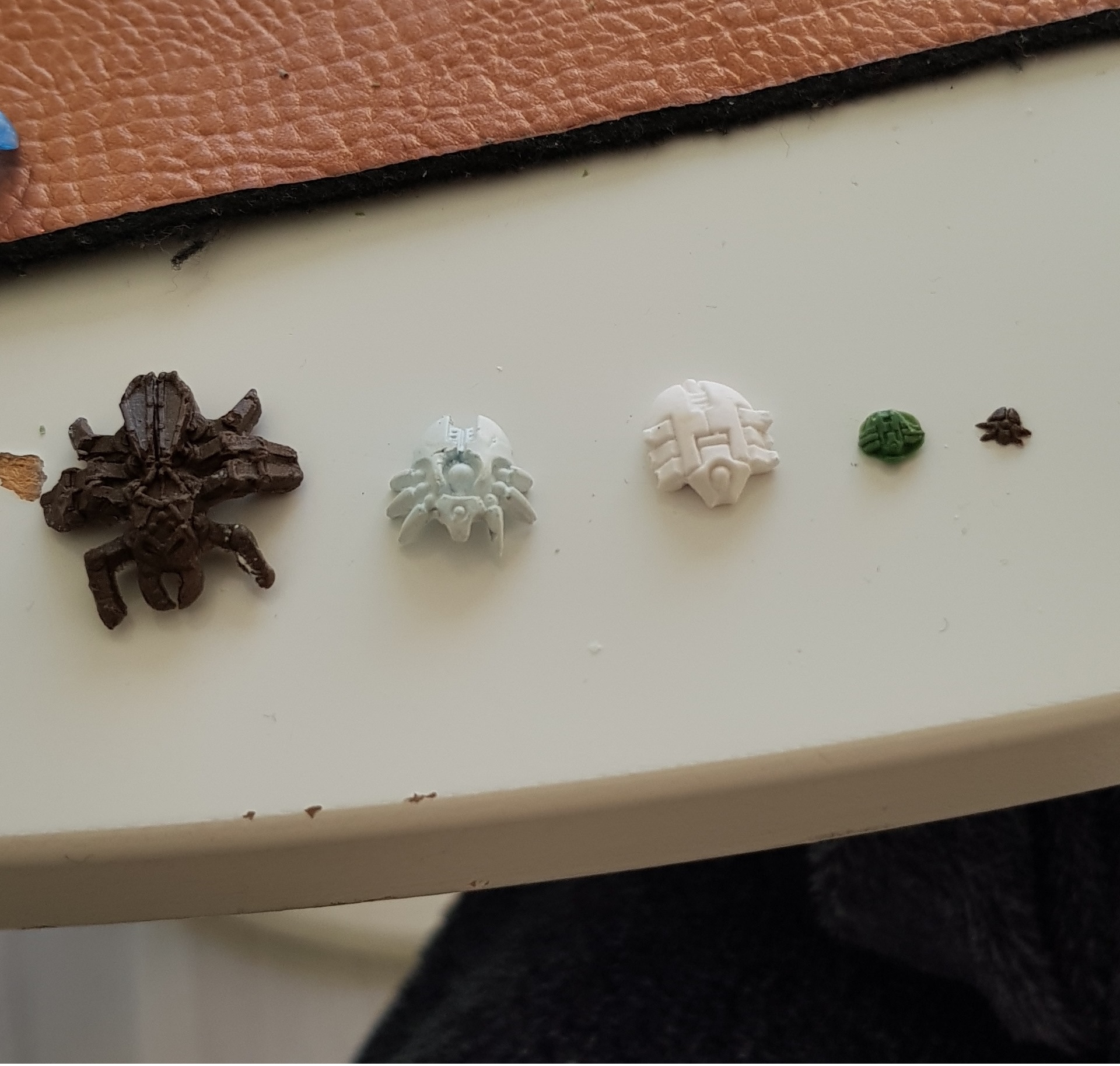 scarabs