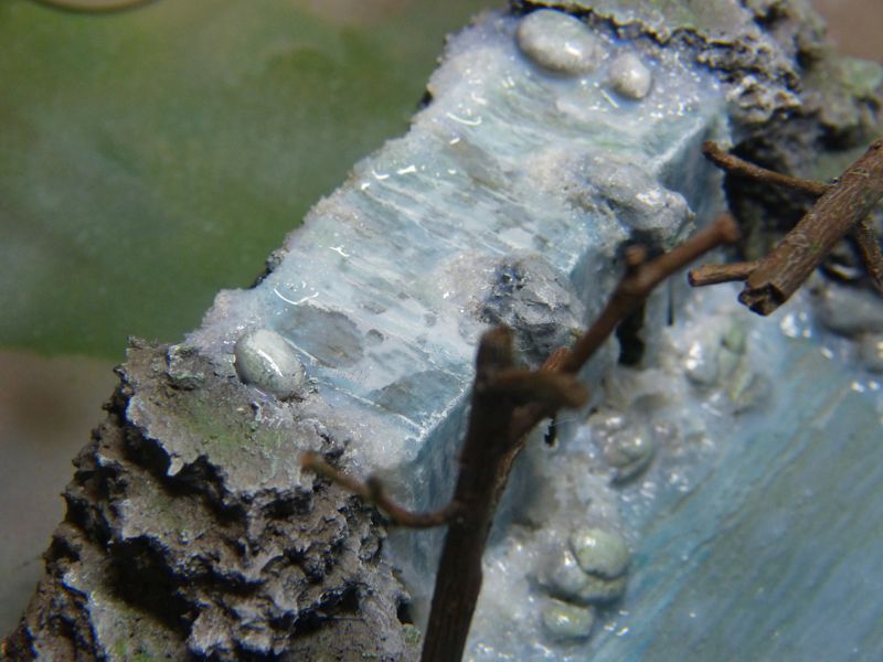 P1040029