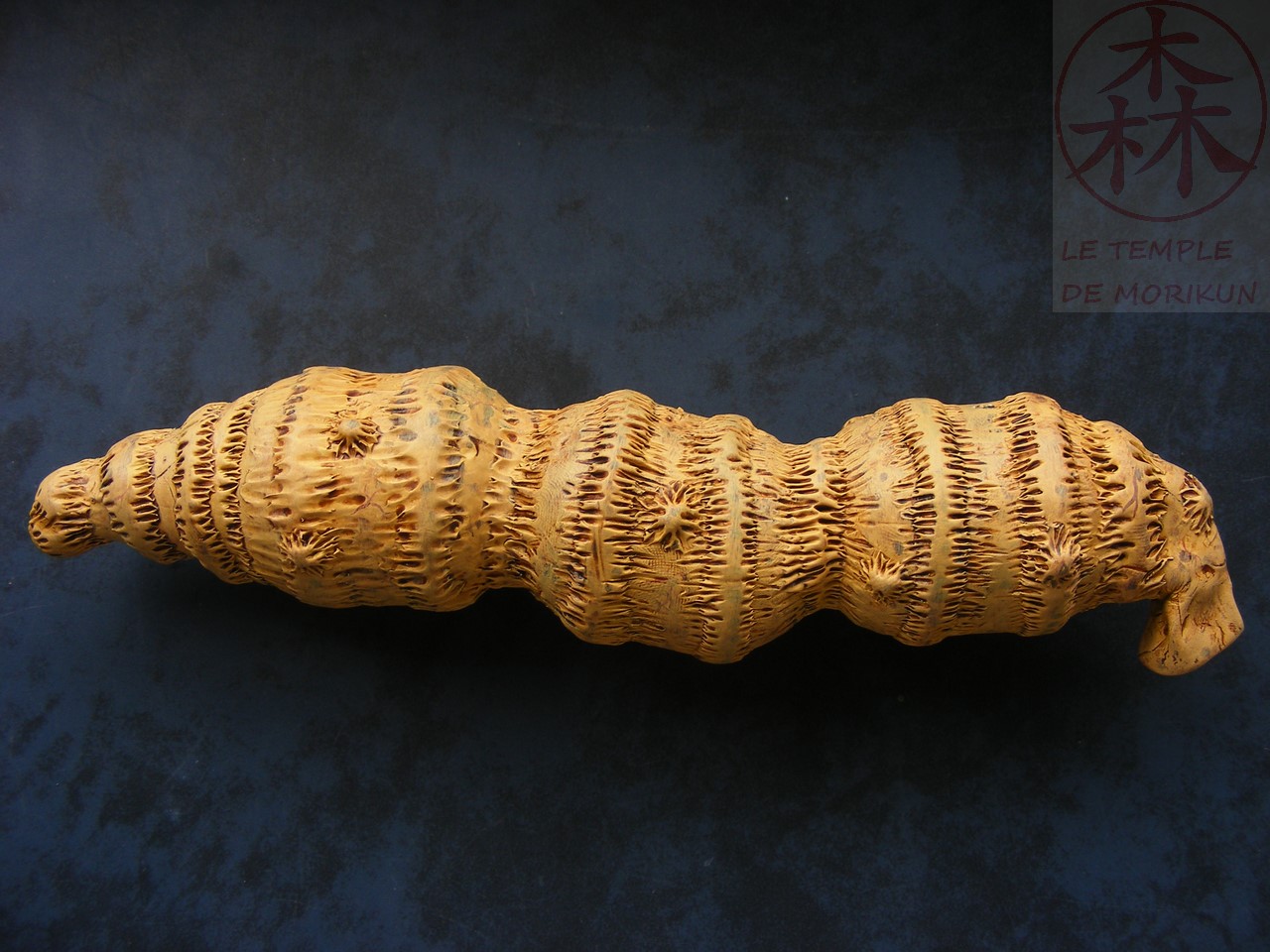 AVP_33_(28)