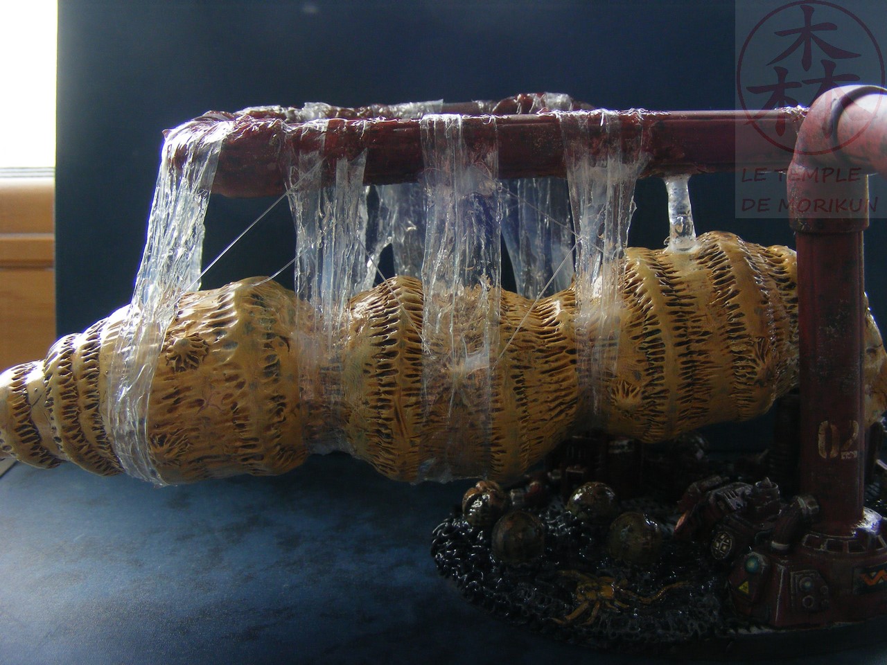 AVP_33_(49)