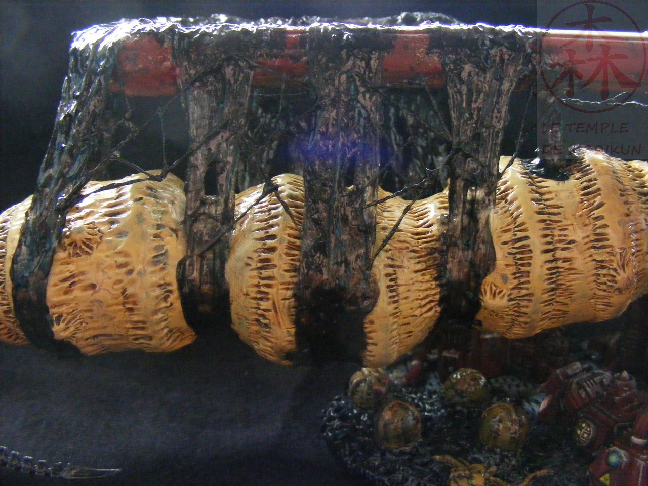 AVP_33_(70)