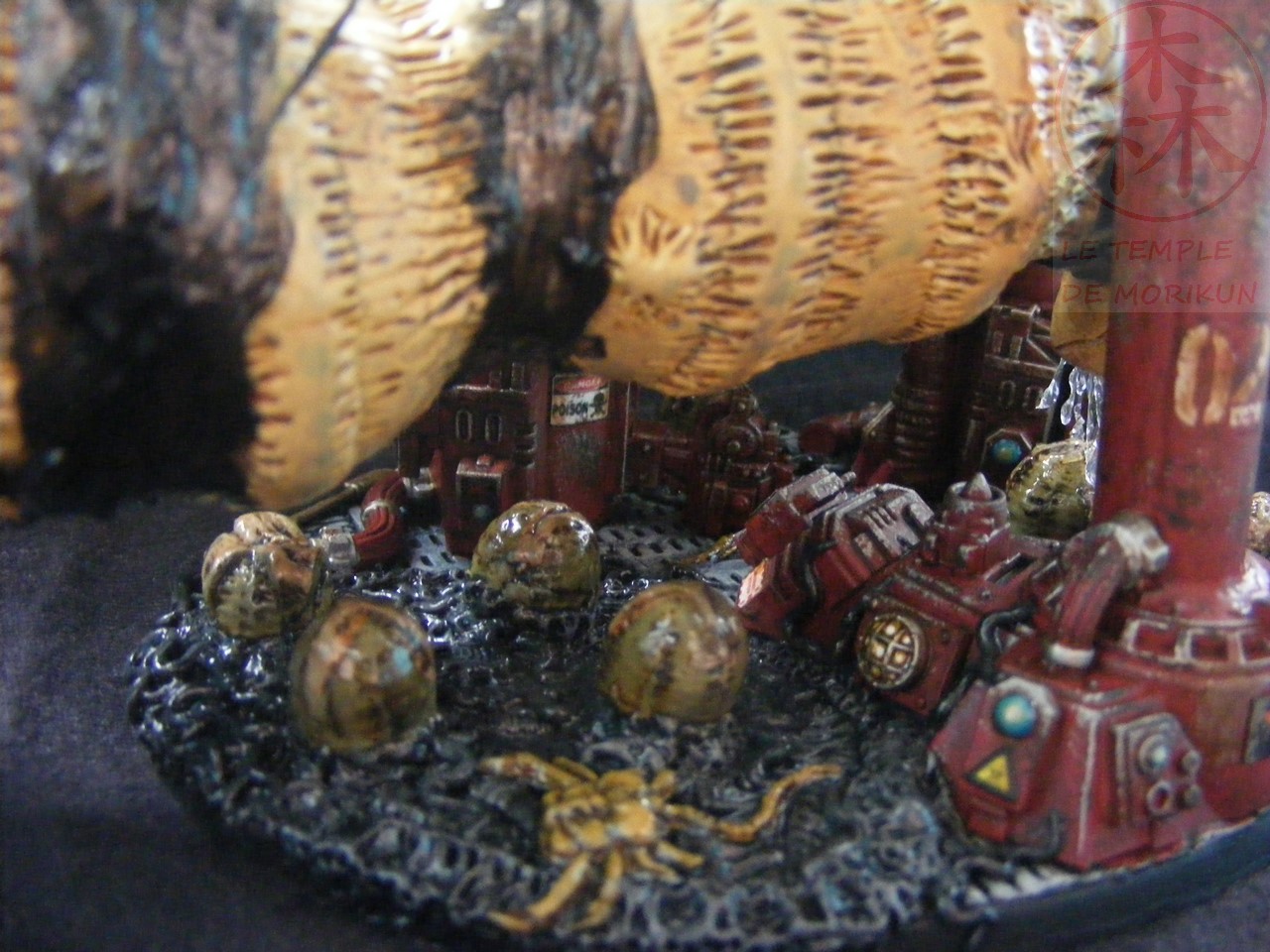 AVP_33_(71)