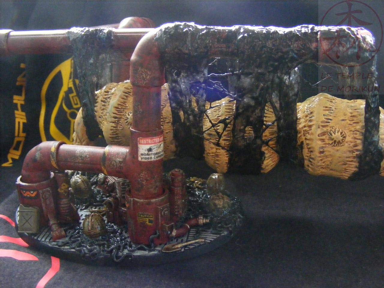 AVP_33_(76)