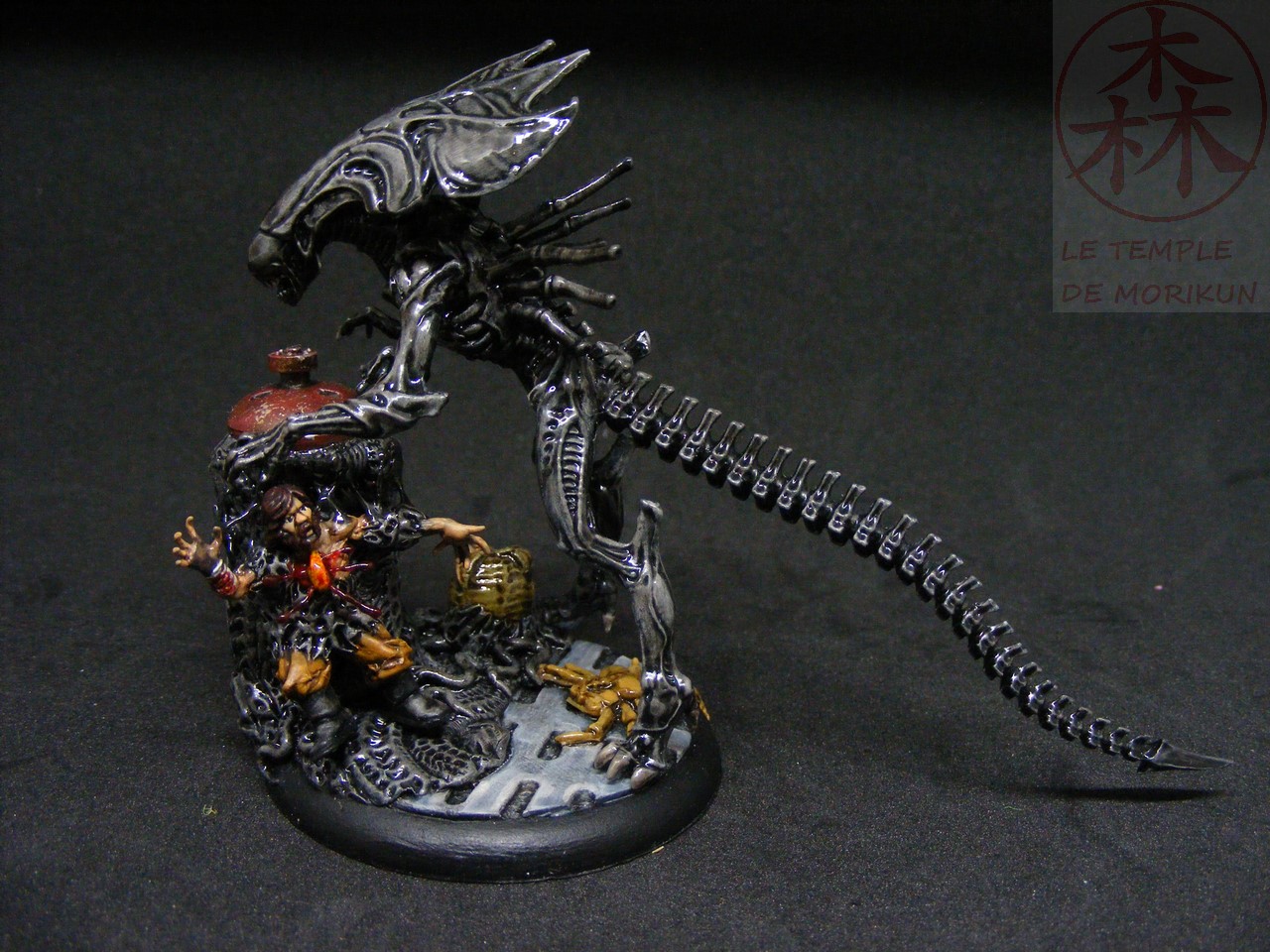 Light_Box_2_(47)