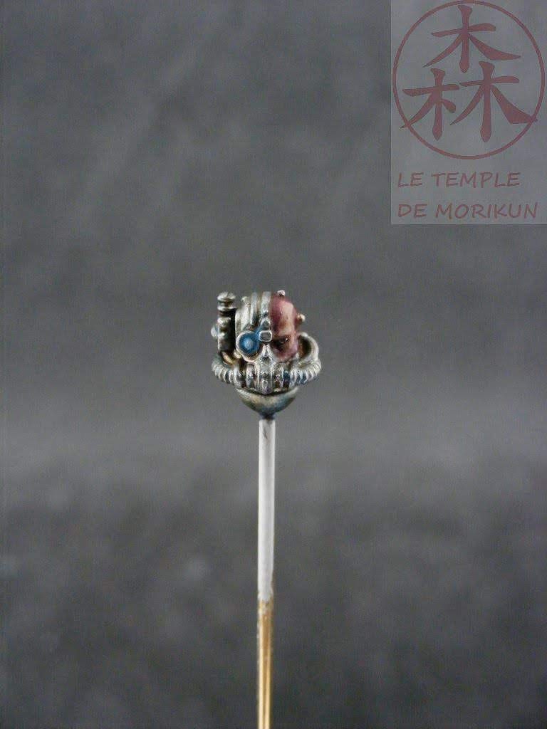 Primaris_6_(5)