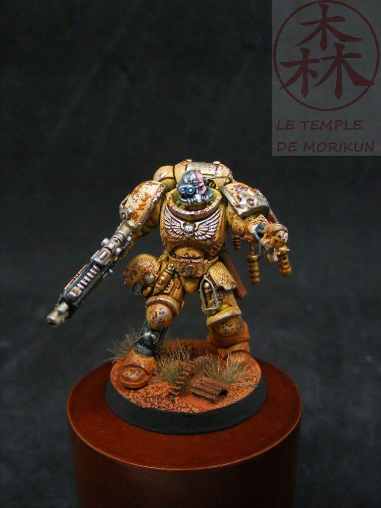 Primaris_7_(1)