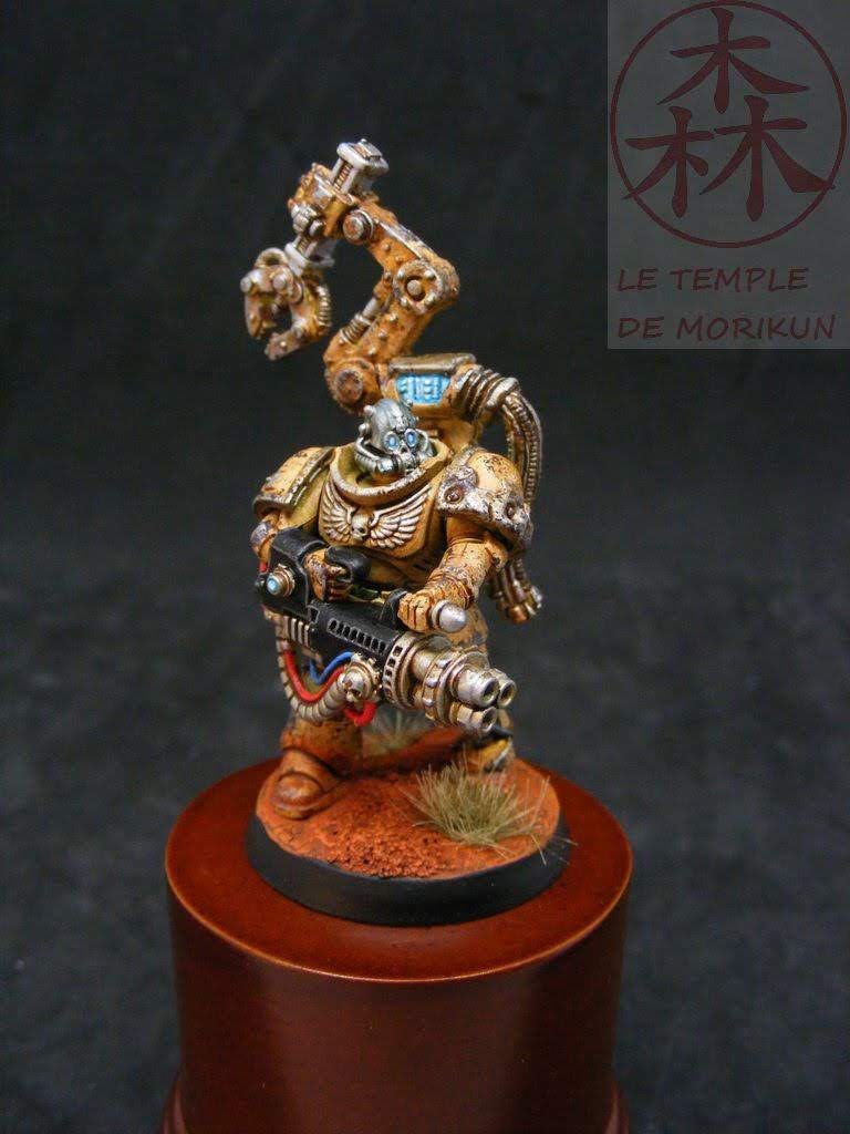Primaris_7_(3)